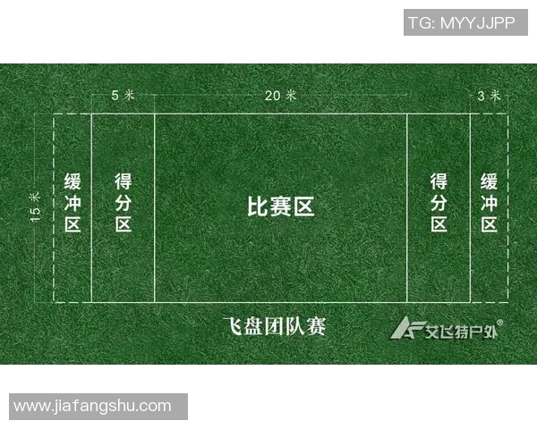 重庆飞盘队实力飙升创造历史新高引发热议与关注