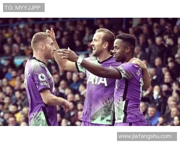 凯恩的传奇旅程：从英超巨星到世界足坛的璀璨明珠